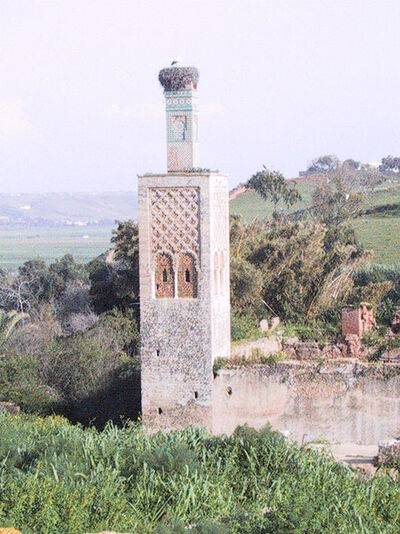 Le Chellah, Rabat — cliché 14