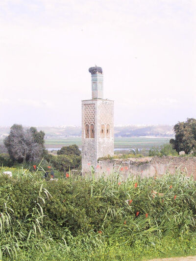 Le Chellah, Rabat — cliché 18