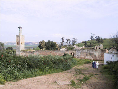 Le Chellah, Rabat — cliché 20