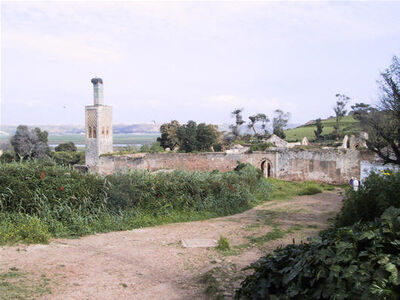 Le Chellah, Rabat — cliché 21