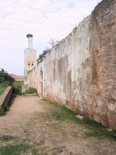 Le Chellah, Rabat — cliché 22