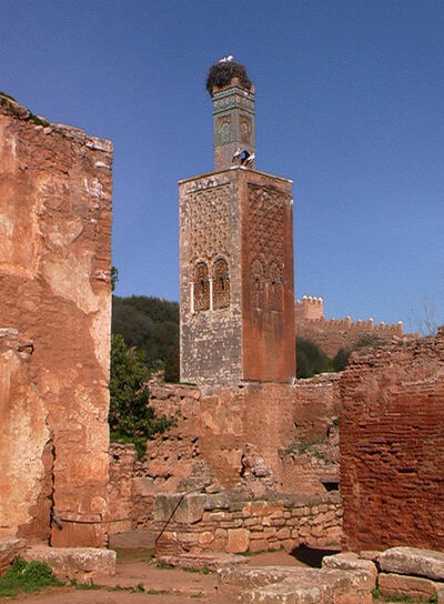 Le Chellah, Rabat — cliché 31