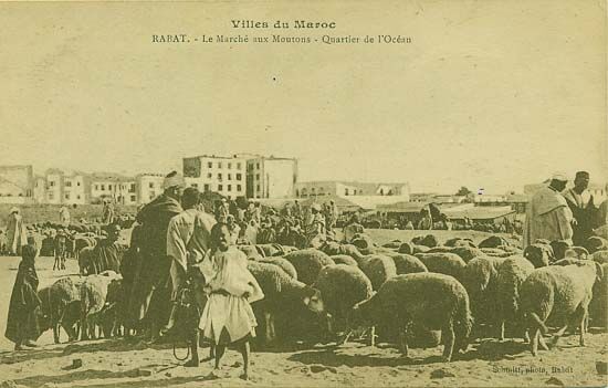 Le Quartier de l'Océan, Rabat — cliché 11